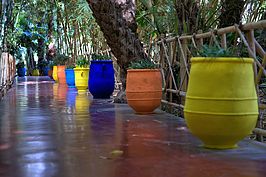 Jardin Majorelle III_t.jpg